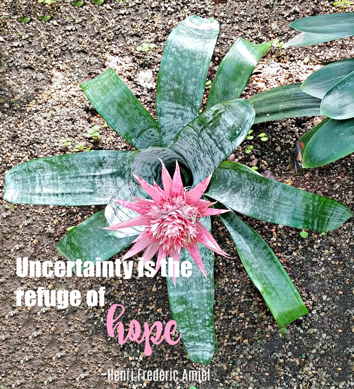 Uncertainty and hope quote