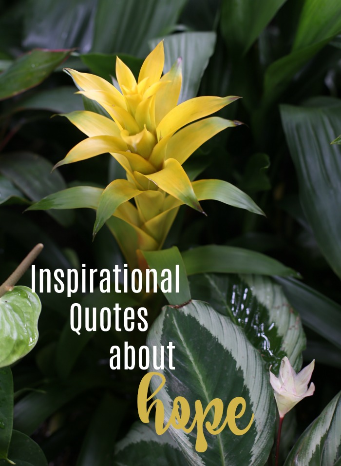 Inspirational message about hope