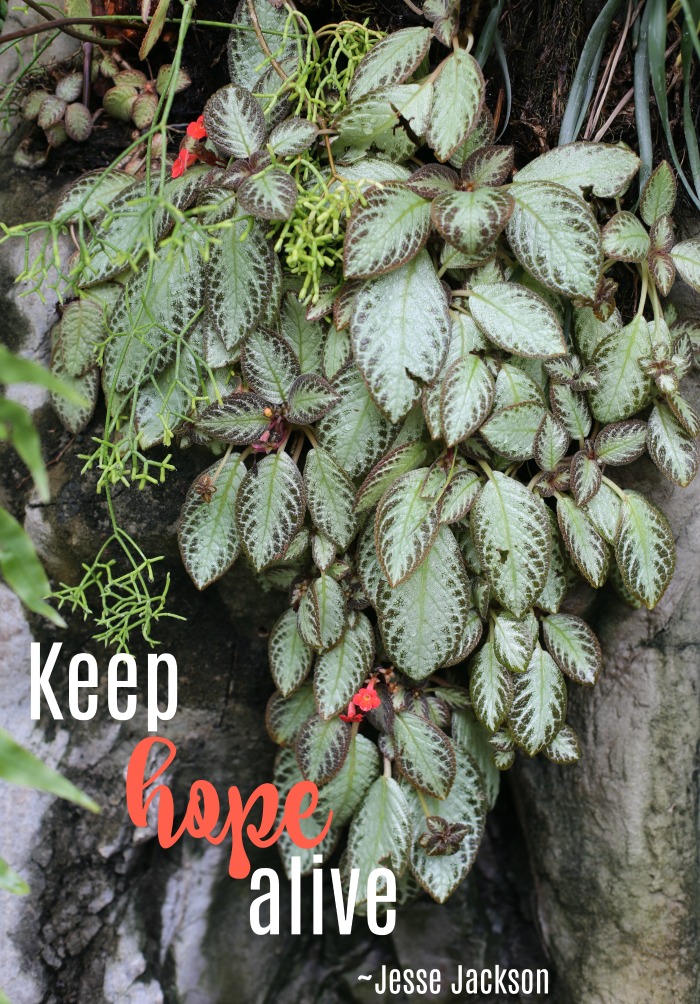 Keep hope alive quote by Jesse Jackson