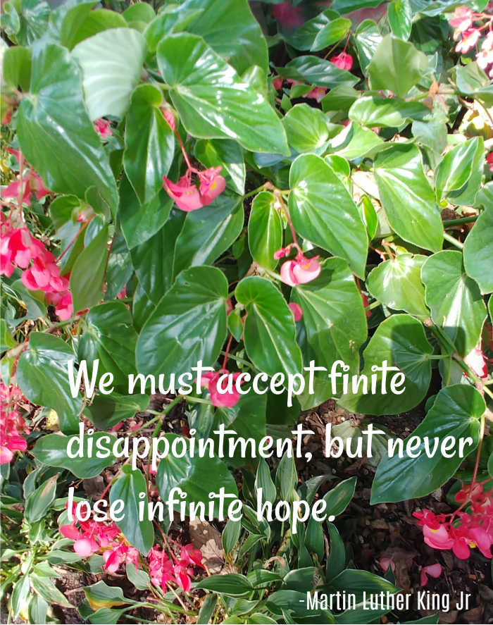 Martin Luther Kind quote about hope.