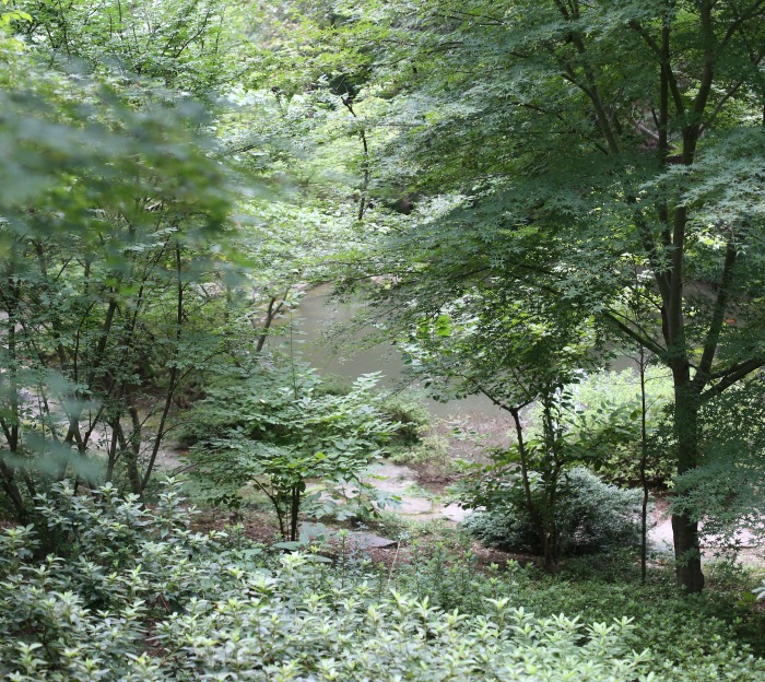 Scene at the Garvan Botanical Gardens in Arkansaa