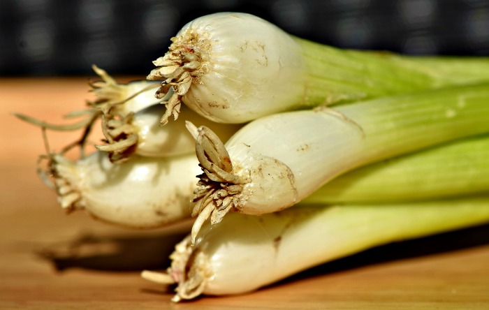 bulb of a spring onion