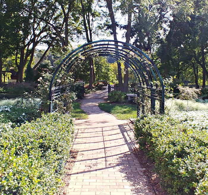 White garden arch in Springfield Botanical Gardens