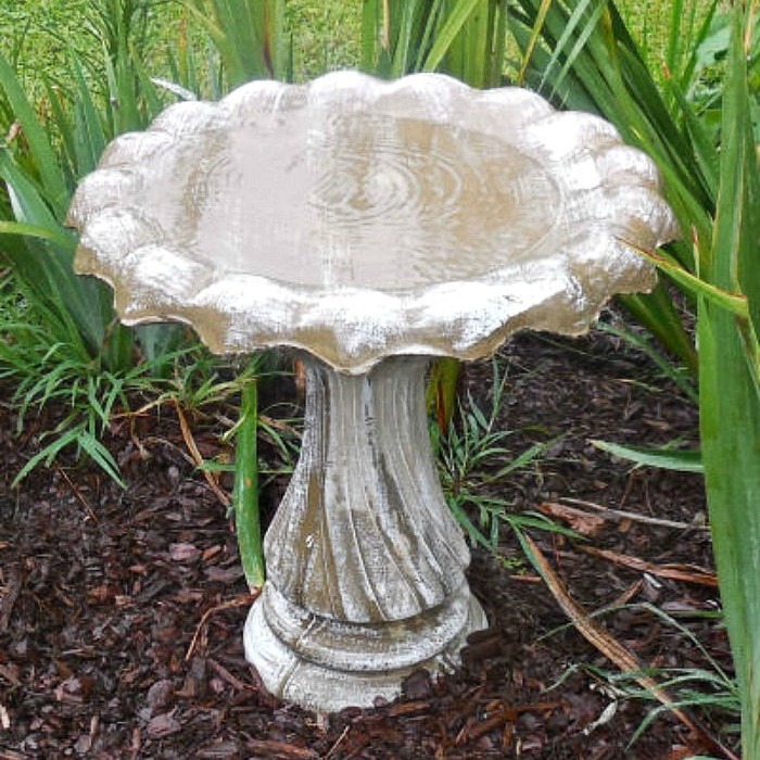 How to Clean A Cement Bird Bath in Just Minutes