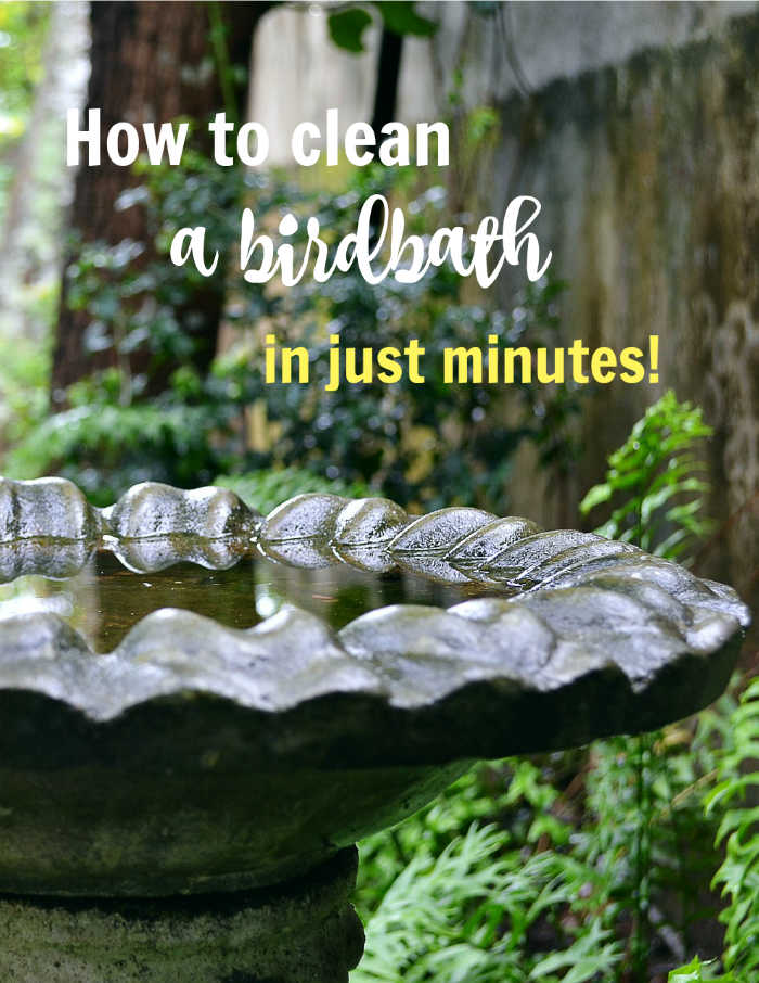Clean birdbath with text reading How to clean a dirty bird bath in just minutes.