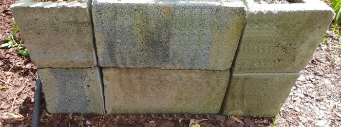 End sectionof a raised garden bed made of concrete blocks