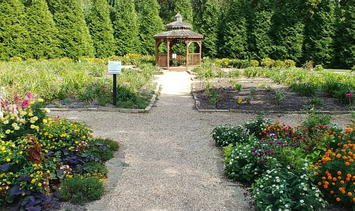 daylily garden with gazebo
