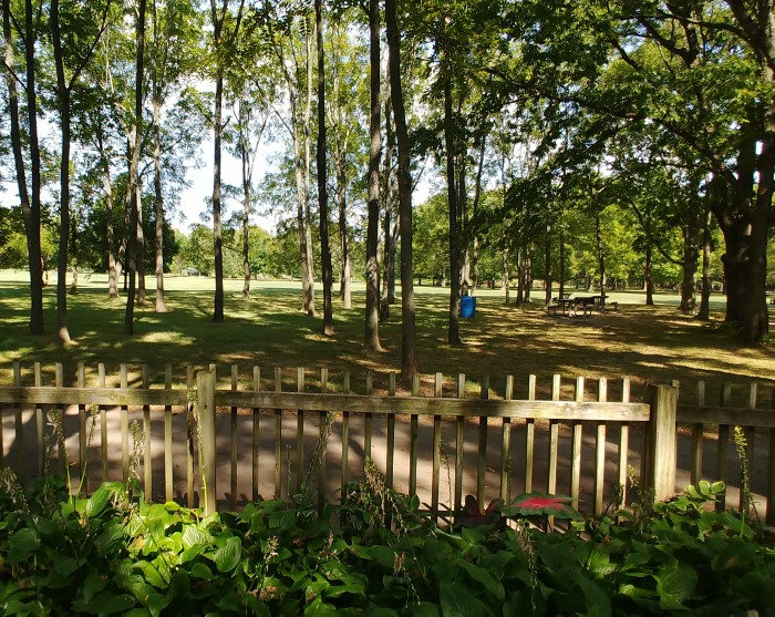 Springfield Botanical Garden open space