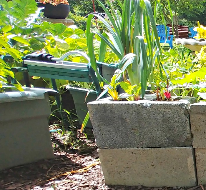 sprinkler and raised garden bed