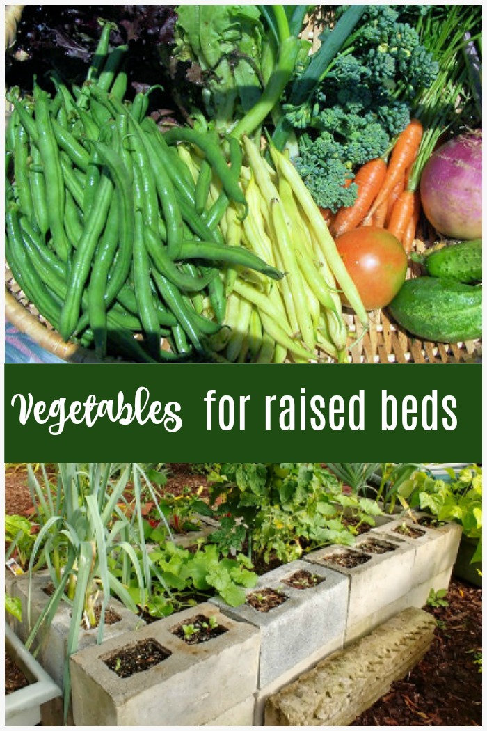 Best vegetables for raised garden beds