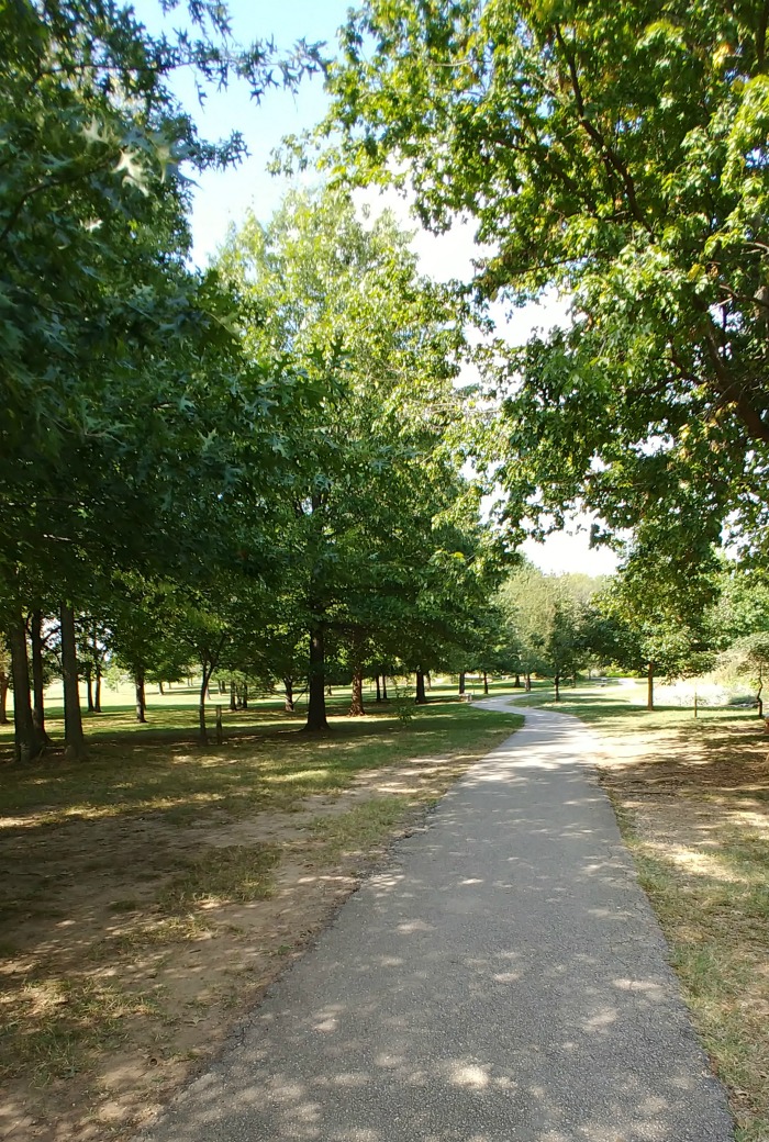 The greenway trail is filled with shade trees