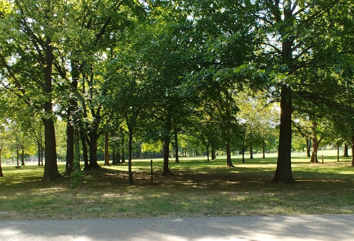 Wooded area of the Green Way part of Springfield Botanical Gardens