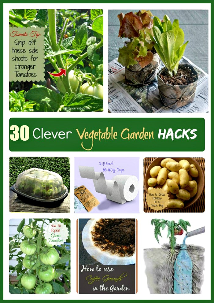 DIY Garden Ideas on a Budget - 30+ Creative vegetable garden hacks