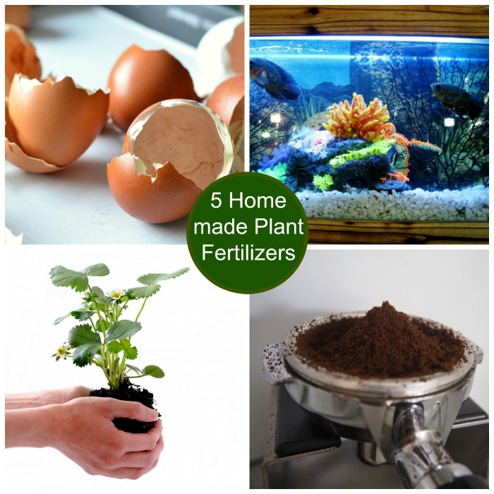 DIY Garden Ideas on a budget - Learn hwo to make five plant fertilizers