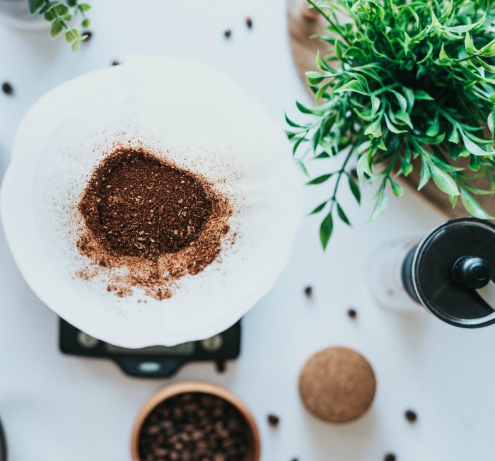 Coffee grounds and plant
