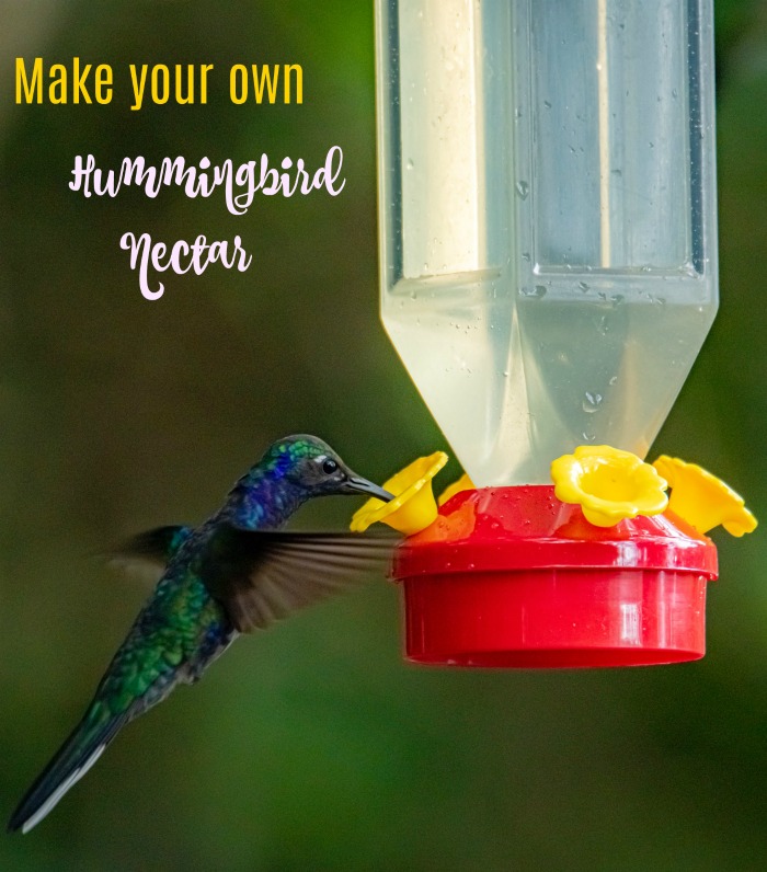 Make your own hummingbird nectar for a fraction of the cost of retail.