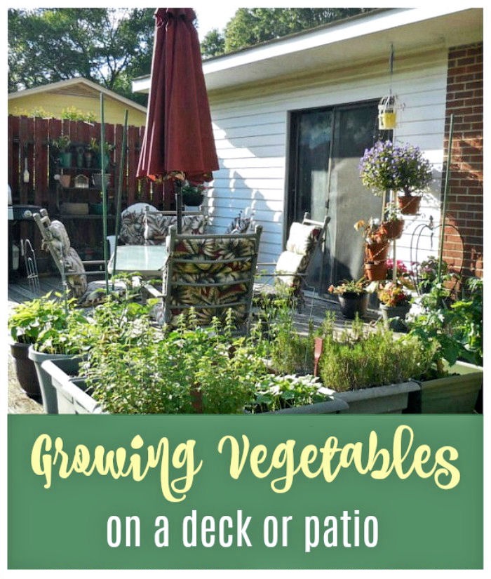 Growing vegetables on a deck