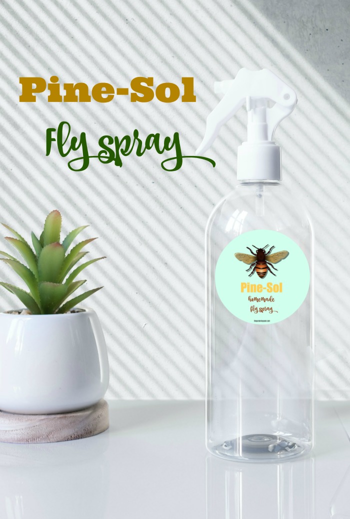 Plant and clear bottle with a label and the text reading "Pine-Sol fly spray."