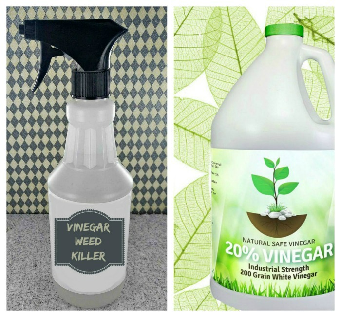 Veggie Garden Hacks - Make your own Organic vinegar weed killer