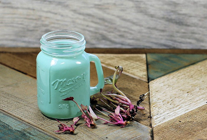 Small green Mason jar and a few sweet potato slips on a wooden counter.