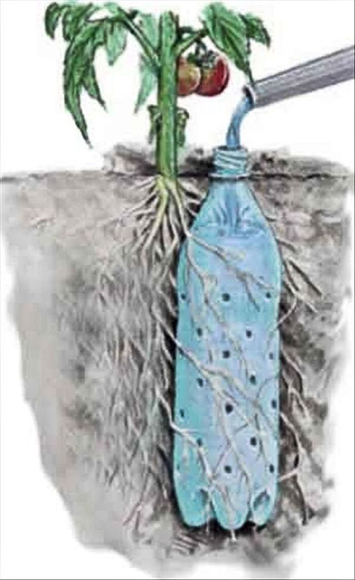 Soda Bottle drip feeder