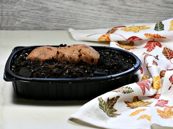 Growing a sweet potato in soil