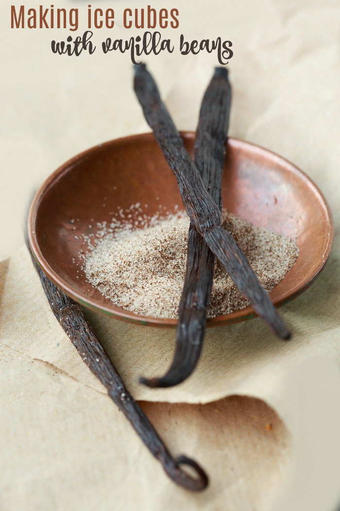 Cooking hacks - Making ice cubes with vanilla beans