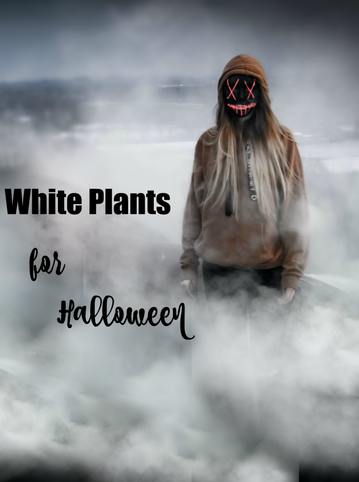 Ghostly figure with words - White plants for Halloween.