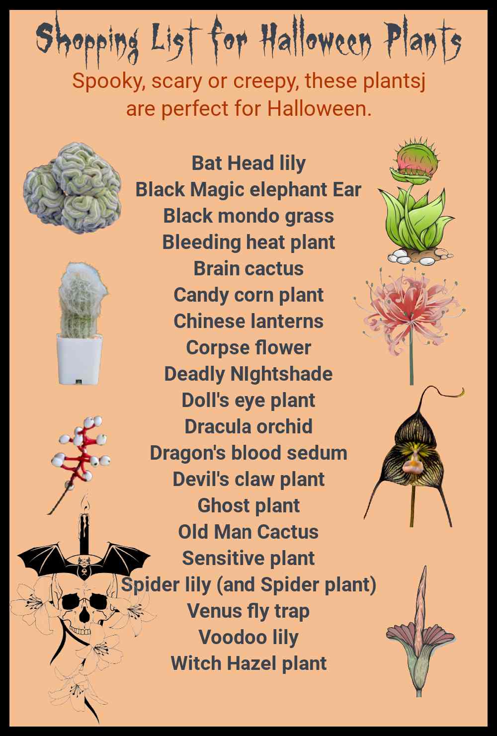 Shopping list for scary Halloween plants.