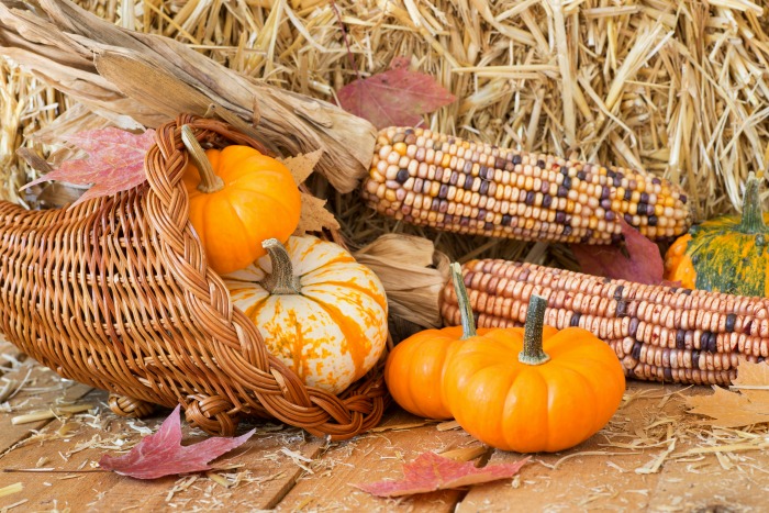 Cornucopia with pumpkins, leaves and Indian corn.