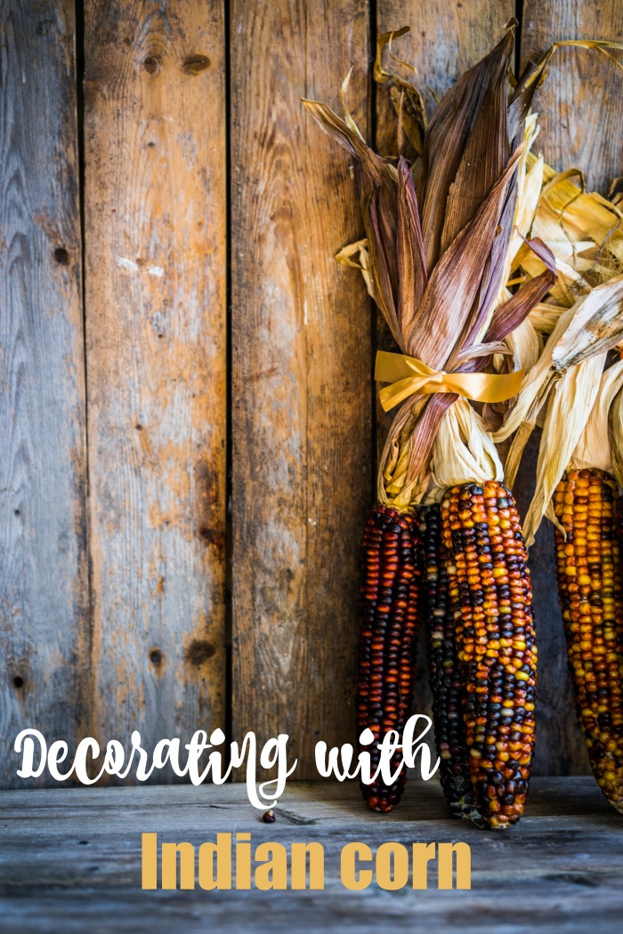 Ears of Indian corn with a wood background and words reading "decorating with Indian corn."