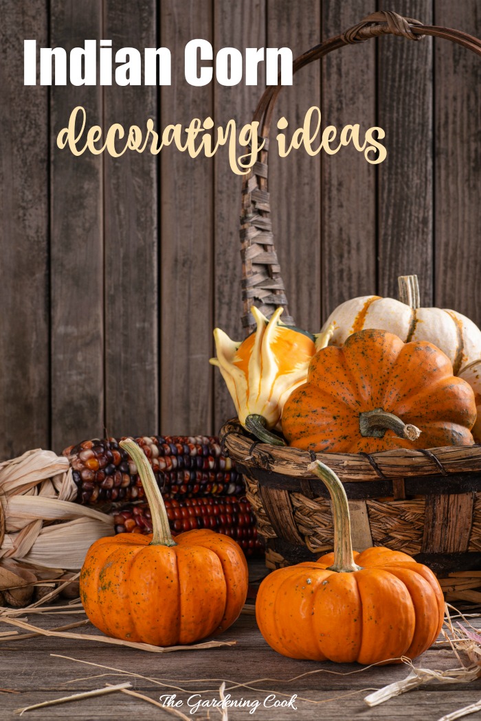 Basket with pumpkins and ears of Indian corn with text reading "Indian corn decorating ideas."