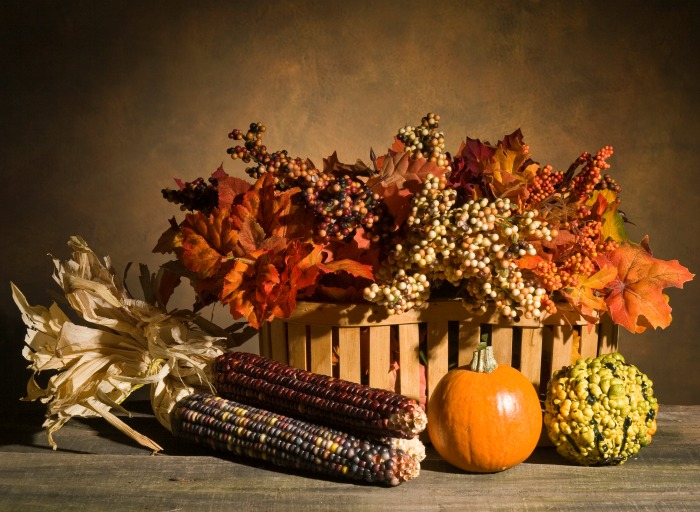 Indian corn basket display.
