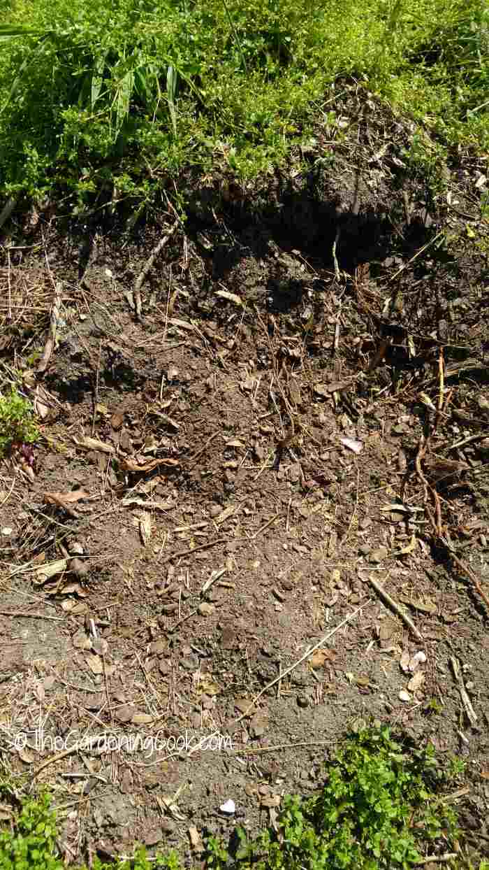 Protect the environment by making a compost pile made from kitchen scraps and garden refuse. 
