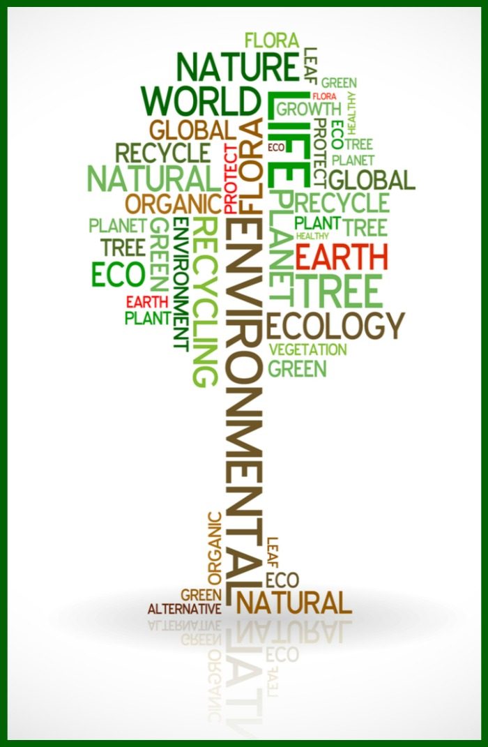 Graphic with eco-friendly words shaped like a tree.
