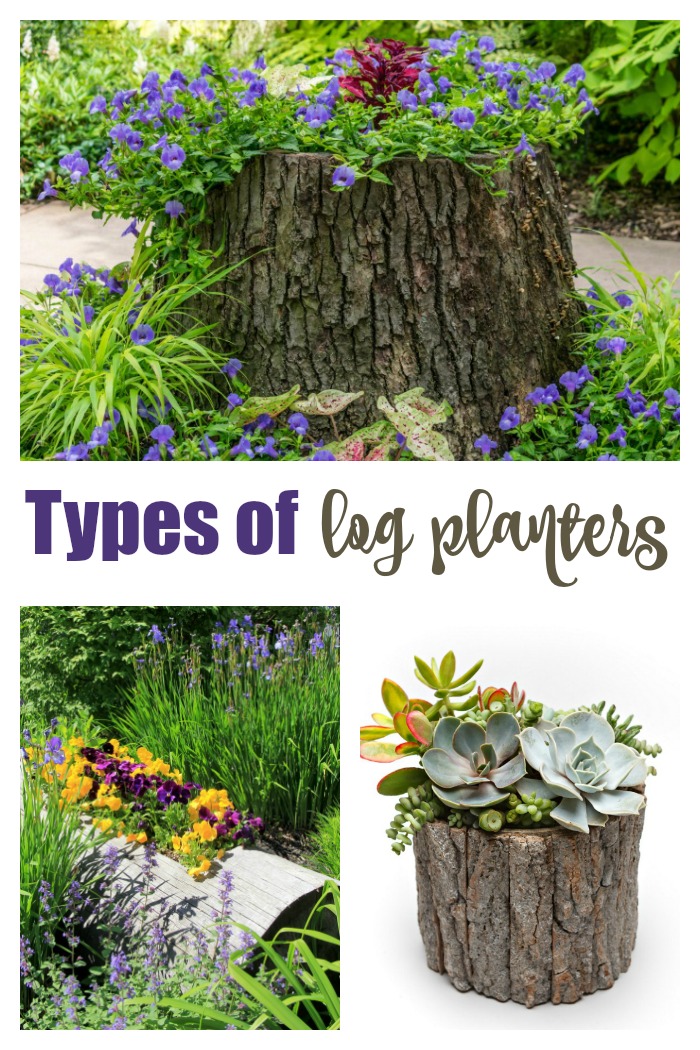 Stump planter, trough planter and log pot in a collage with the words "types of log planters."