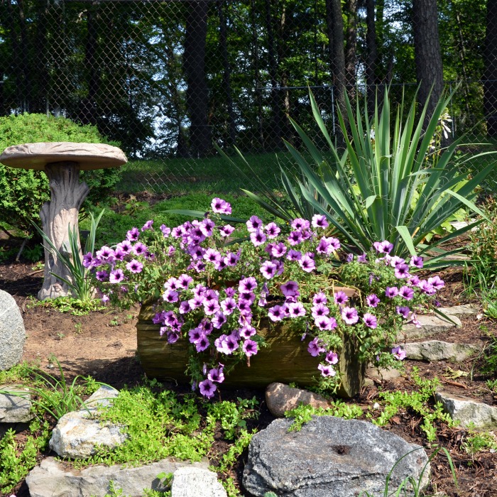 25+ Log Planters – Eco Friendly Planters – How to Make a Log Planter