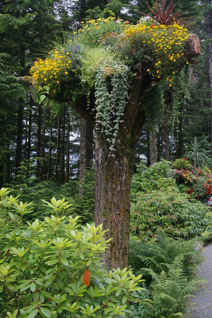 Tree trunk planer with flowering plants.