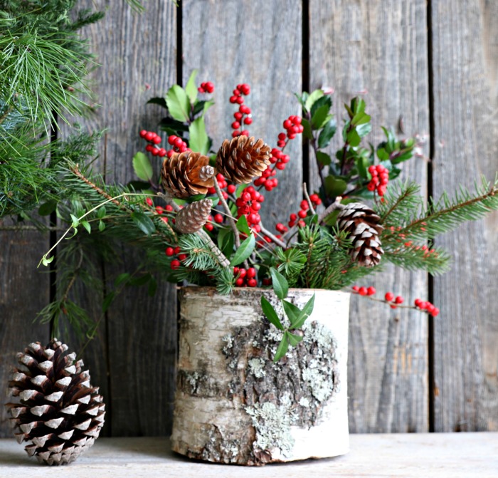 White birch bark log planter with Christmas plants.
