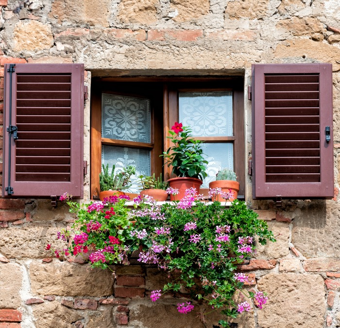 Window box with flowering plants.