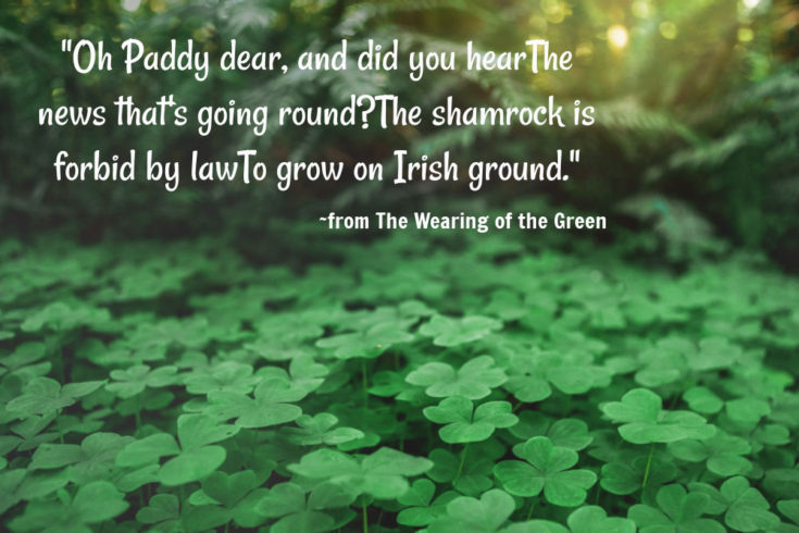 Shamrocks in a field with quote from The Wearing of the Green.