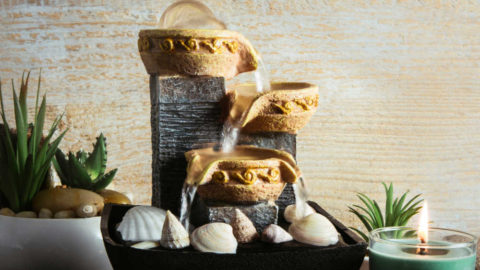 Lucky Plants to Attract Prosperity, Positive Energy and Good Luck Indoors