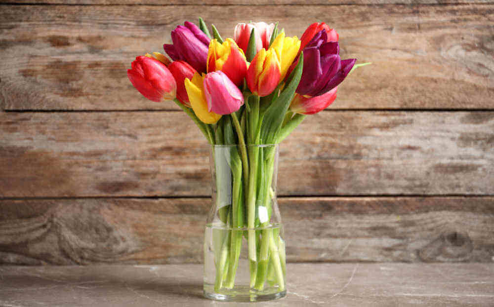Clear vase with cut tulips in it.
