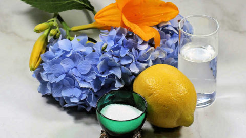 How to Keep Cut Flowers Fresh – 15 Tips for Making Cut Flowers Last