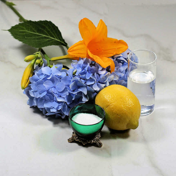 DIY Cut Flowers Food
