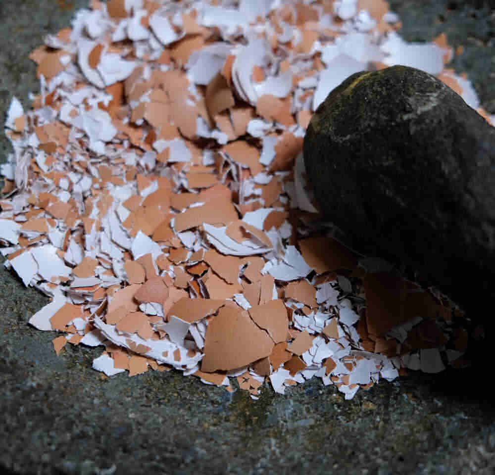 Crushed egg shells in a mortar and pestle.