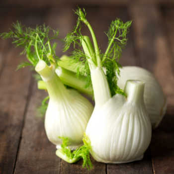 fennel bulb and leaves.