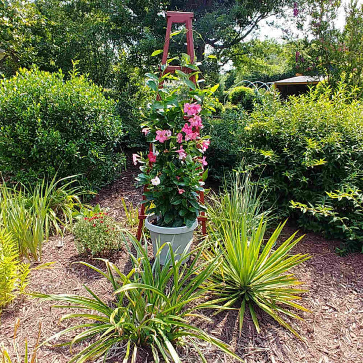 How to Build a Garden Obelisk Out of Wood