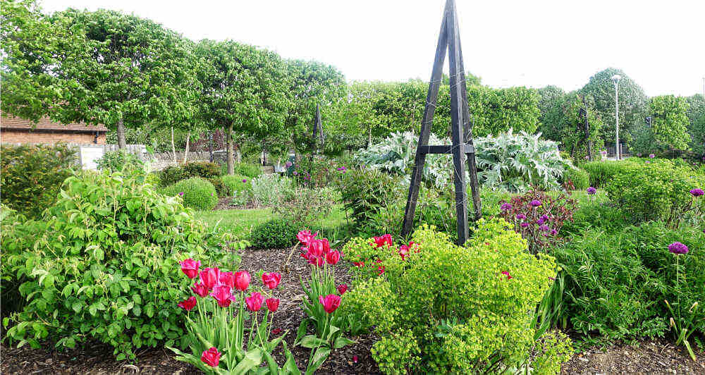 Flower garden with a wooden obelisk.