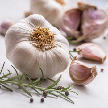 Head of garlic and garlic cloves with rosemary leaves and peppercorns.